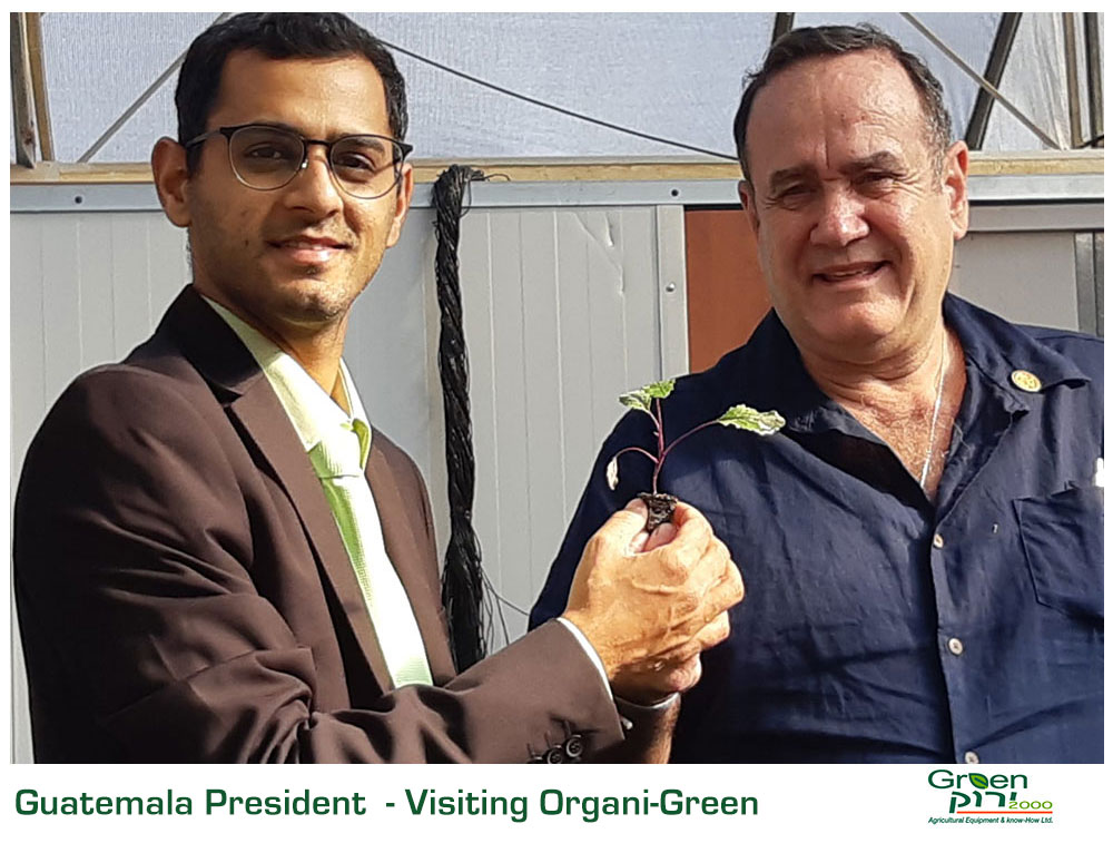 Green 2000 Ltd. is one of Israel's leading companies for agricultural turn-key projects, agro-supplies, vegetables seeds and know-how. Green 2000 Ltd.has over 20 years experience in agro projects world-wide as well as in their Israeli home base. Green 2000 ltd. offers professional turn-key agro management services, to fully designed, constructed & equipped working agricultural models.